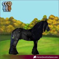 Horse Color:ERROR: UNKNOWN ANOMALY