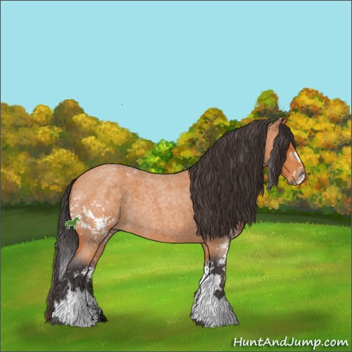 Horse Color:White Spotted Buckskin Roan 