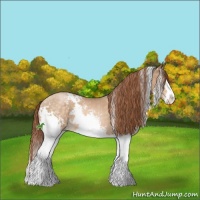 Horse Color:White Spotted Buckskin Roan Pearl Splash 