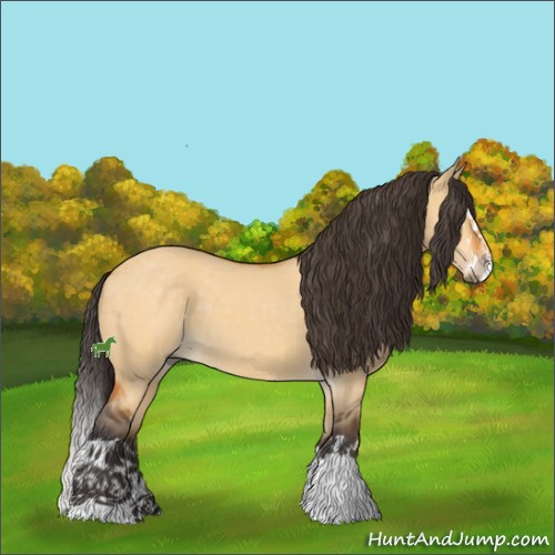 Horse Color:Buckskin Dun Sabino Splash 