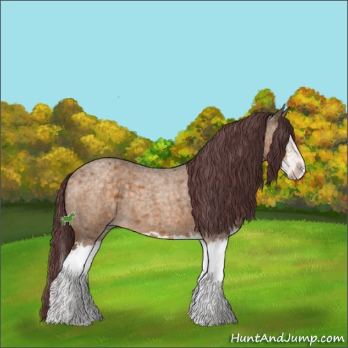Horse Color:Chocolate Buckskin Roan Sabino Splash Rabicano 