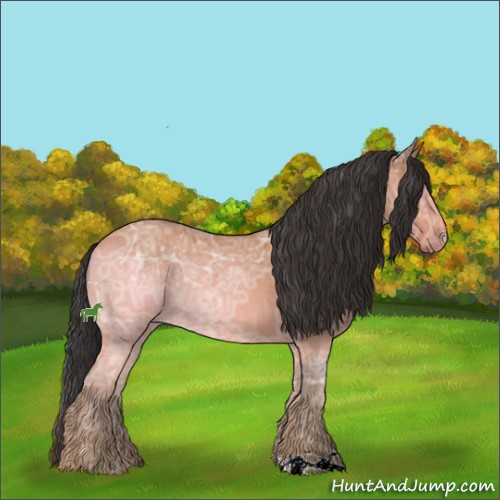 Horse Color:Bay Ice Roan
