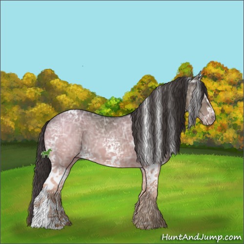 Horse Color:White Spotted Smoky Black Ice 