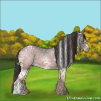 Horse Color:White Spotted Smoky Black Ice 