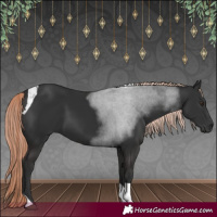 Horse Color:Liver Chestnut Tobiano 