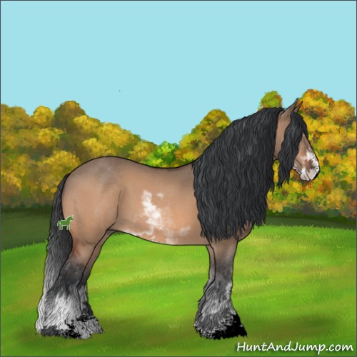 Horse Color:Bay Dun Sabino