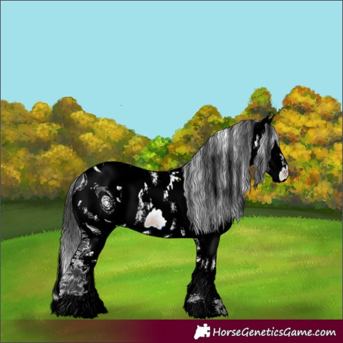 Horse Color:ERROR: UNKNOWN ANOMALY