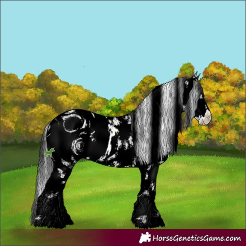 Horse Color:ERROR: UNKNOWN ANOMALY
