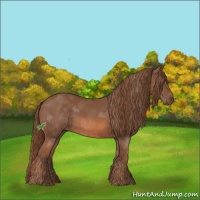 Horse Color:Chestnut Sabino