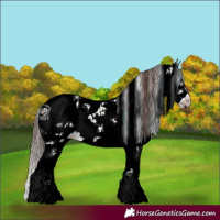 Horse Color:ERROR: UNKNOWN ANOMALY