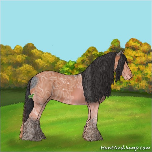 Horse Color:ERROR: UNKNOWN ANOMALY