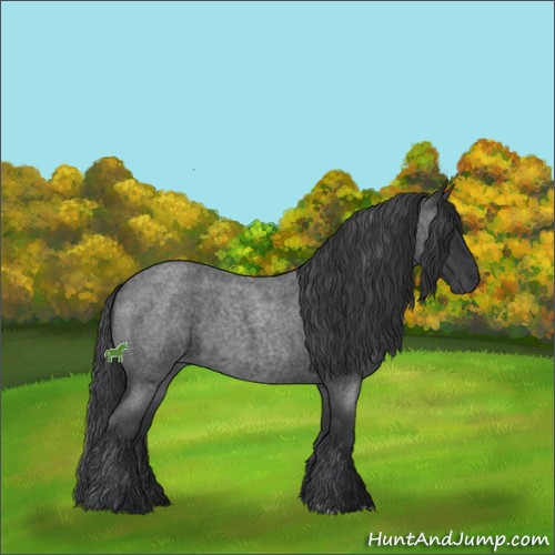 Horse Color:Blue Roan 