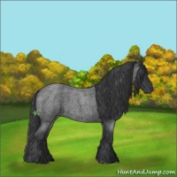 Horse Color:Blue Roan 
