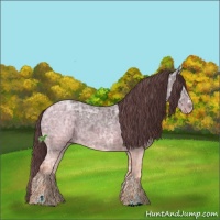 Horse Color:Chocolate Black Ice Sabino 