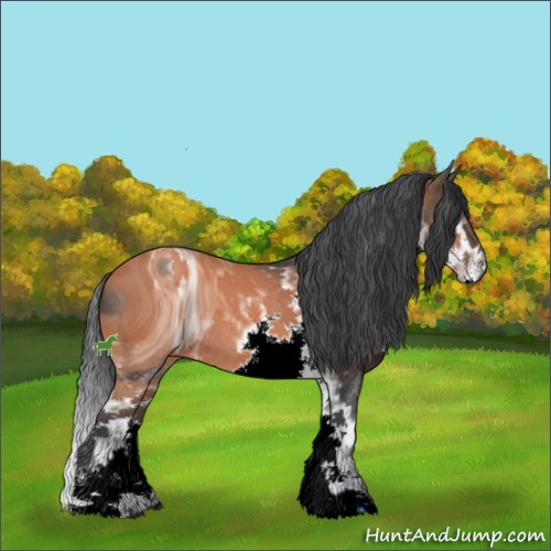 Horse Color:ERROR: UNKNOWN ANOMALY