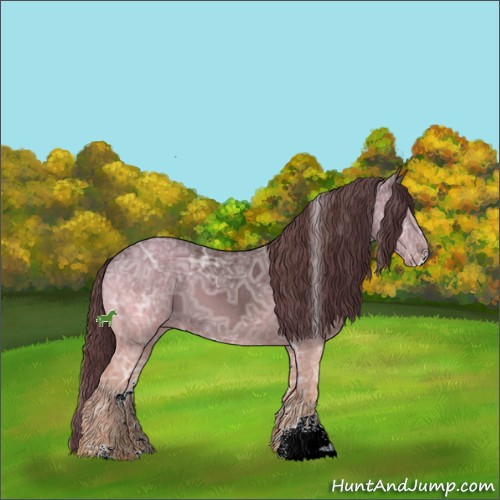 Horse Color:Chocolate Black Ice Sabino 