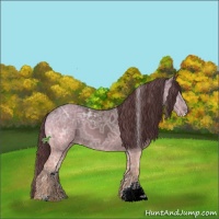 Horse Color:Chocolate Black Ice Sabino 