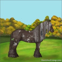 Horse Color:White Spotted Liver Chestnut Sabino