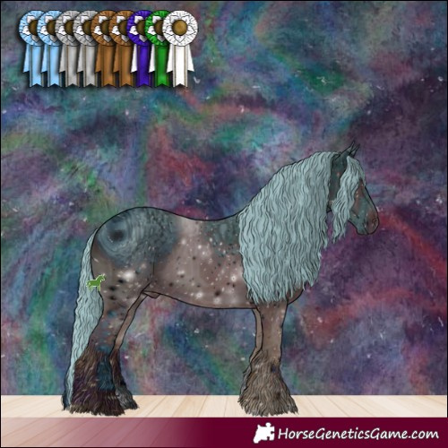 Horse Color:ERROR: UNKNOWN ANOMALY