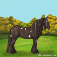 Horse Color:White Spotted Liver Chestnut Sabino 