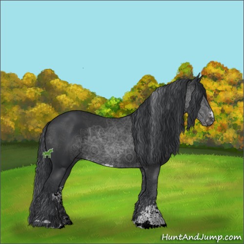 Horse Color:Black Sabino 