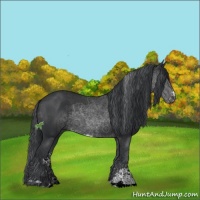 Horse Color:Black Sabino 