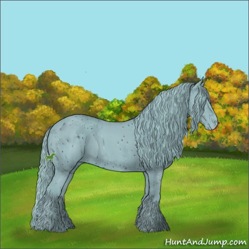 Horse Color:ERROR: UNKNOWN ANOMALY