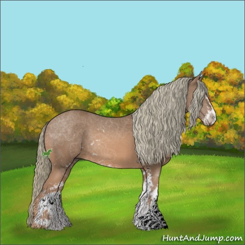 Horse Color:Chestnut Mushroom Sabino