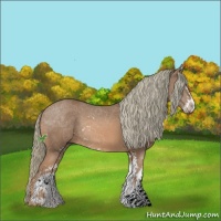 Horse Color:Chestnut Mushroom Sabino