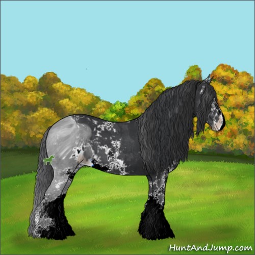 Horse Color:ERROR: UNKNOWN ANOMALY