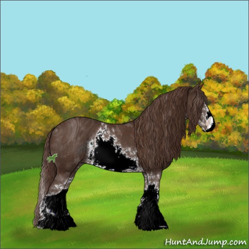 Horse Color:ERROR: UNKNOWN ANOMALY