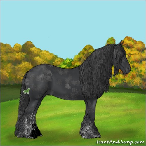 Horse Color:Black Sabino