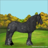 Horse Color:Black Sabino