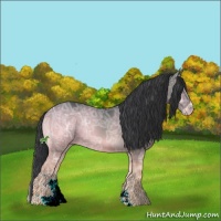 Horse Color:Blue Onyx Ice Mushroom Sabino