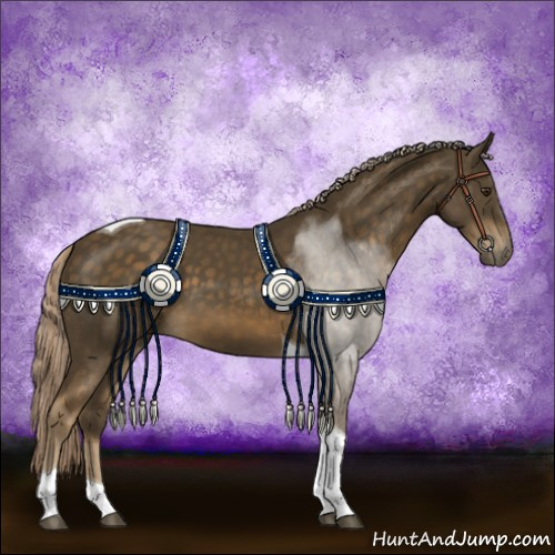 Horse Color:Chocolate Palomino Tobiano 