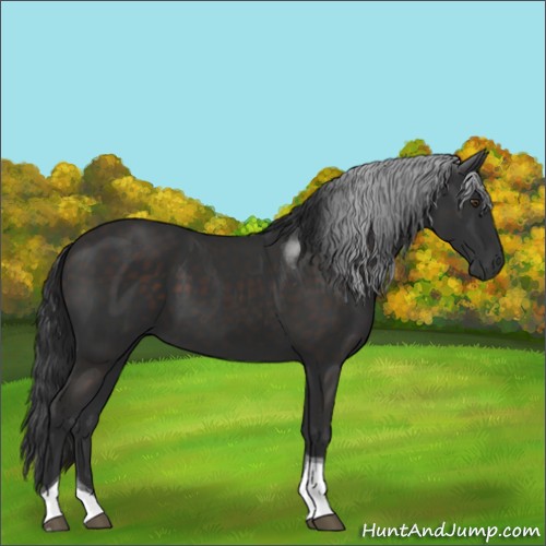 Horse Color:Liver Chestnut Tobiano 