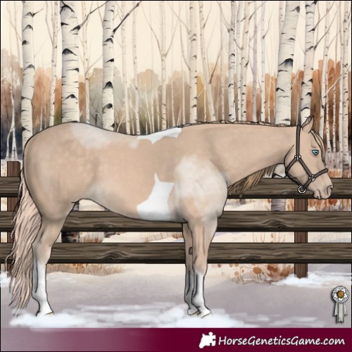 Horse Color:Perlino Tobiano 
