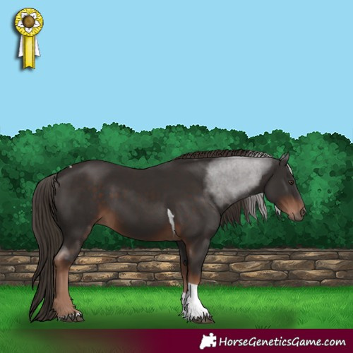 Horse Color:Liver Chestnut Tobiano 