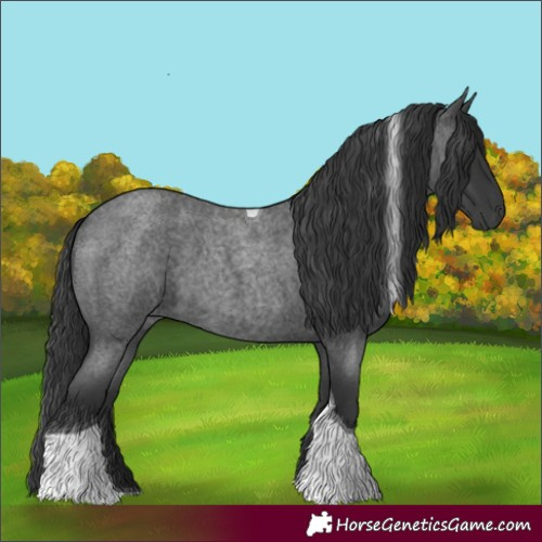 Horse Color:Blue Roan Tobiano 