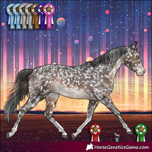 Horse Color:Brown Splash Tobiano Snowflake Varnish