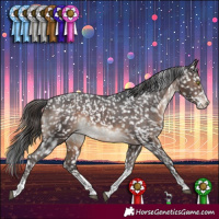 Horse Color:Brown Splash Tobiano Snowflake Varnish