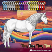 Horse Color:Gray Silver Smoky Black Sabino Appaloosa Rabicano 