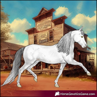 Horse Color:Brown Dun Sabino