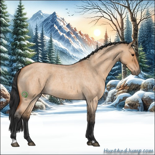 Horse Color:Bay Roan Dun 