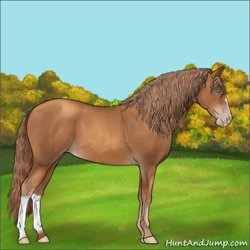 Horse Color:Gray Gold Champagne 