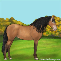 Horse Color:Gray Amber Champagne 