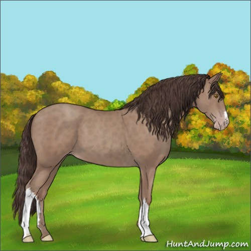 Horse Color:Classic Champagne 