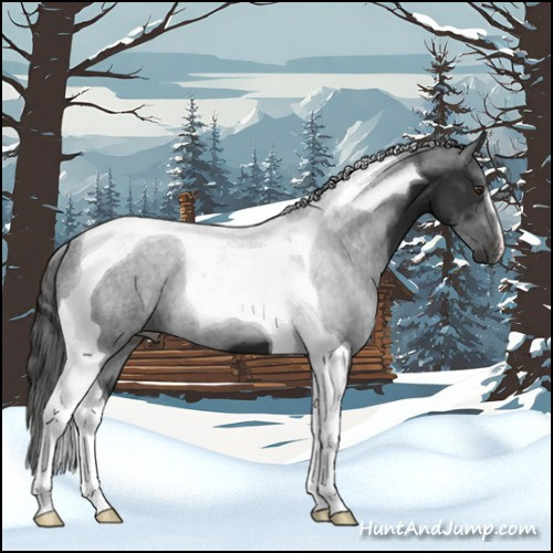 Horse Color:Liver Chestnut Tobiano 