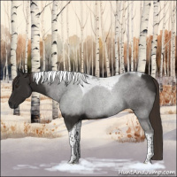 Horse Color:Liver Chestnut Tobiano 