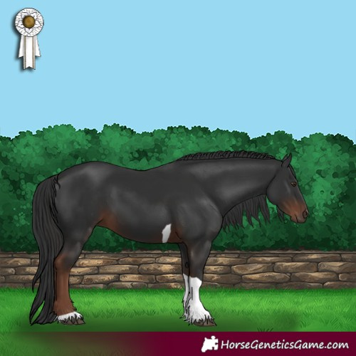 Horse Color:Liver Chestnut Tobiano 